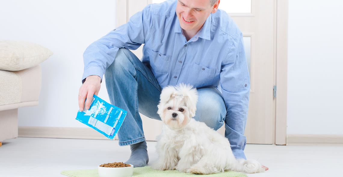 Pet Nutrition