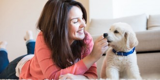 Pet Psychology