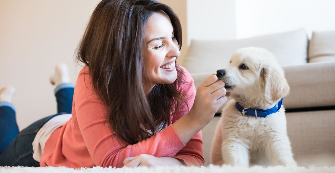 Pet Psychology