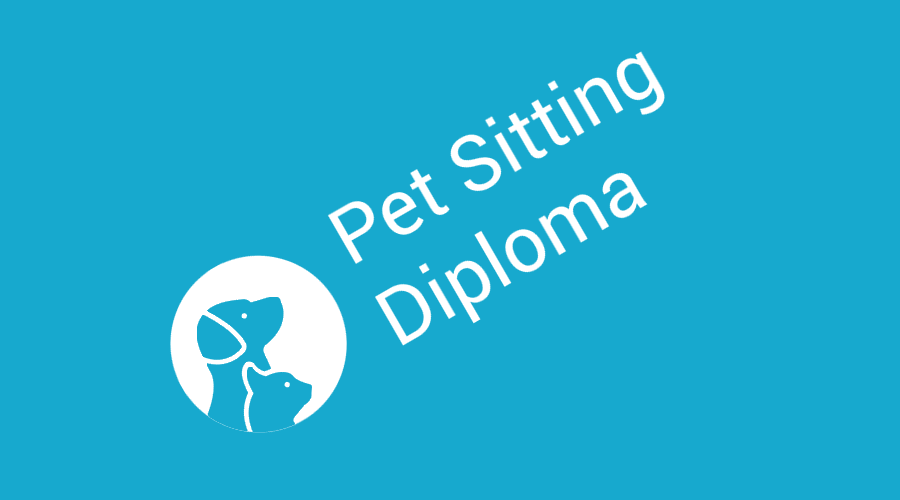 Pet Sitting