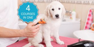 complete animal care