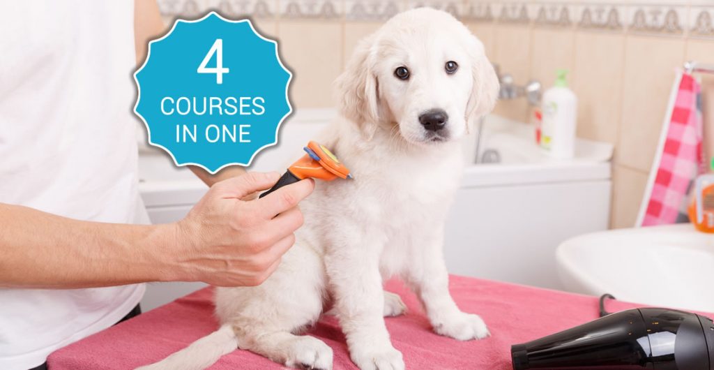 complete animal care