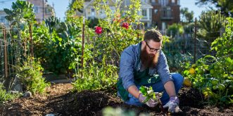 The Combined Urban and Zen Gardening Certificate