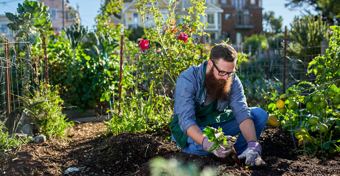 The Combined Urban and Zen Gardening Certificate